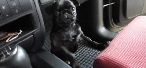 549841_203958273079294_1235812067_n-640x300