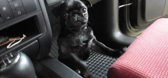 549841_203958273079294_1235812067_n-640x300