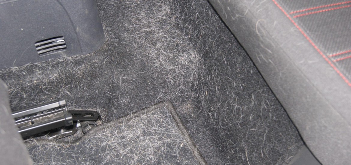 Tierhaarentfernung bei einem Opel Corsa - Vorher