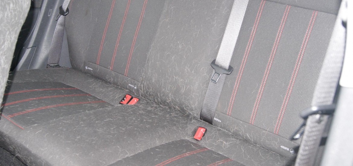 Tierhaarentfernung bei einem Opel Corsa - Vorher