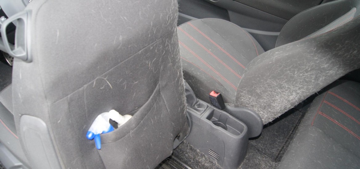 Tierhaarentfernung bei einem Opel Corsa - Vorher